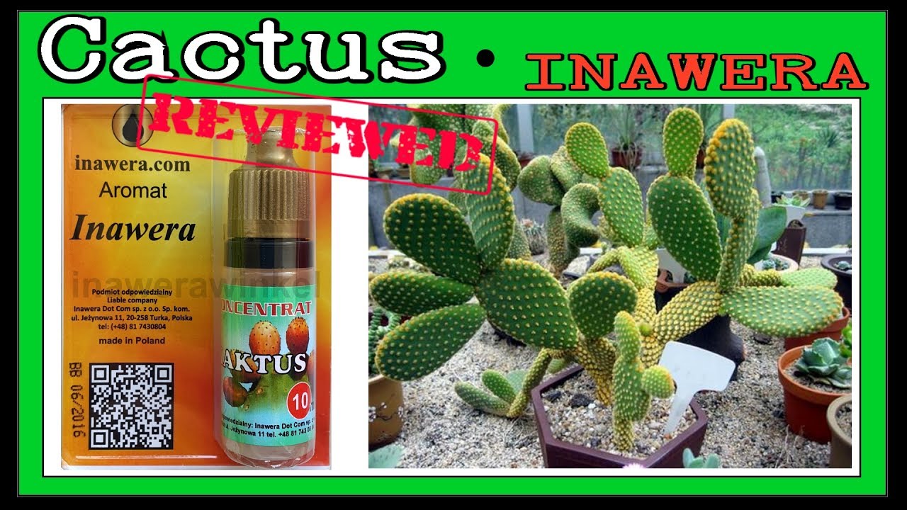 Inawera Cactus Review + Quick Fruit Recipe 60VG (DIY Eliquid Cactus