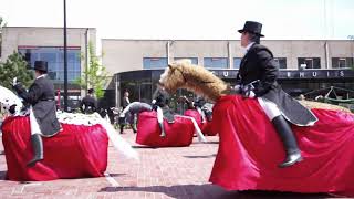 Hop, Hop, Hop, Paardje In Galop. Vestingcode 2019