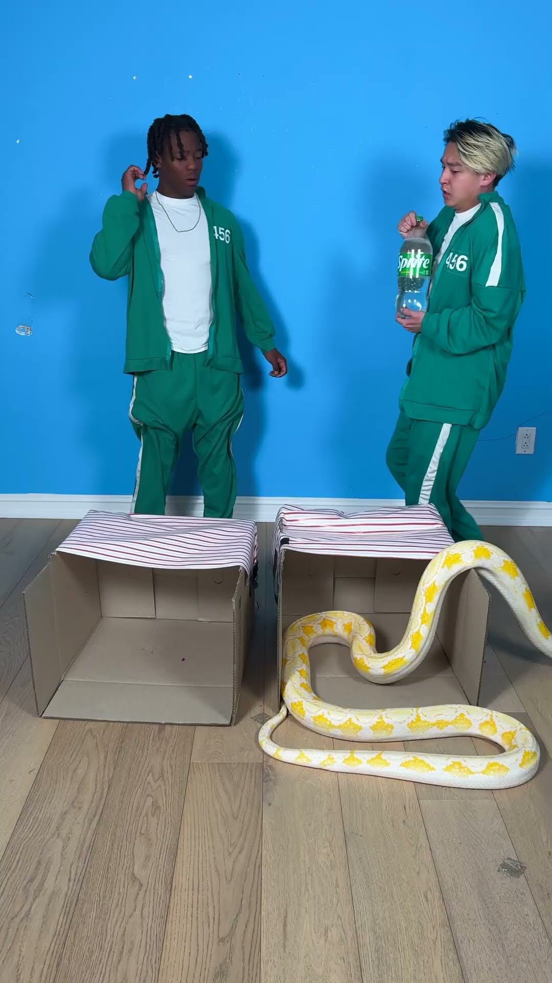 Can You Avoid The Giant Snake!