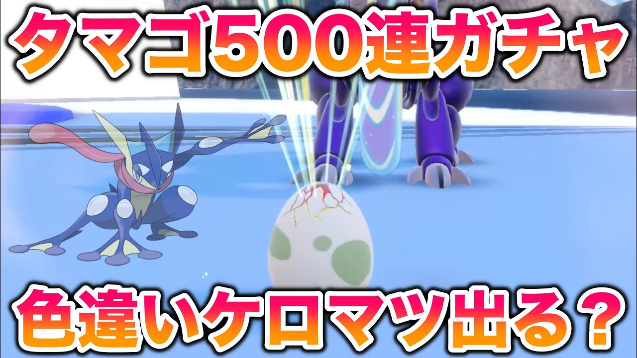 検証 タマゴ500連ガチャで色違い御三家 ケロマツ ゲッコウガ はゲットできるか ポケモンsv スカバイ Youtube 検証 タマゴ500連ガチャで色違い御三家 ケロマツ ゲッコウガ はゲットできるか ポケモンsv スカバイ Youtube