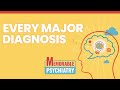 Mnemonics for Every Major Psychiatric Diagnosis! (Memorable Psychiatry Lecture)