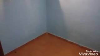 Pessoas Normais X Anormais - Matando Insetos