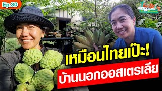 ชีวิตบ้านนอกออสเตรเลีย สาวไทยสร้างบ้านใต้ถุนสูง ผูกเปล เหมือนเลย : Khaosod - ข่าวสด