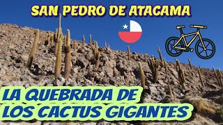 Ciclismo en San Pedro de Atacama - Quebrada de Guatin