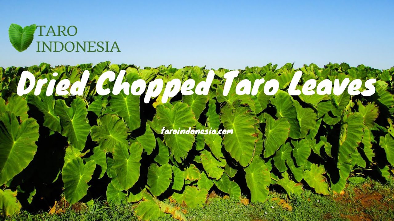 Dried Chopped Taro Leaves