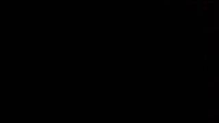 Teach Yourself Shetland Royal Wedding 2