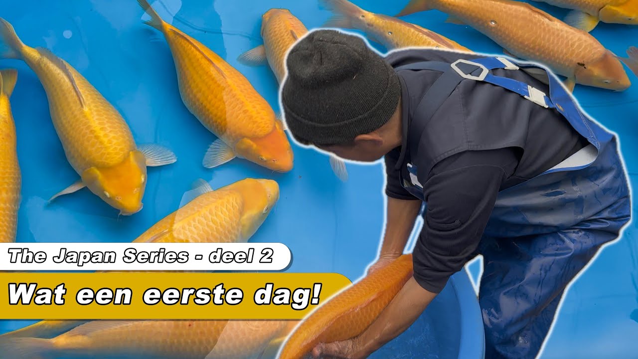 Wat een eerste dag! 😍