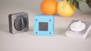 Famous Kitchen Timers for Cooking Net Worth