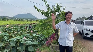 Sen Lúa Lăng Minh Xuân Lộc