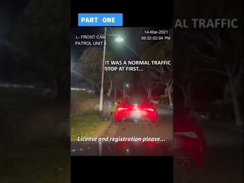It Was A Normal Traffic Stop At First...