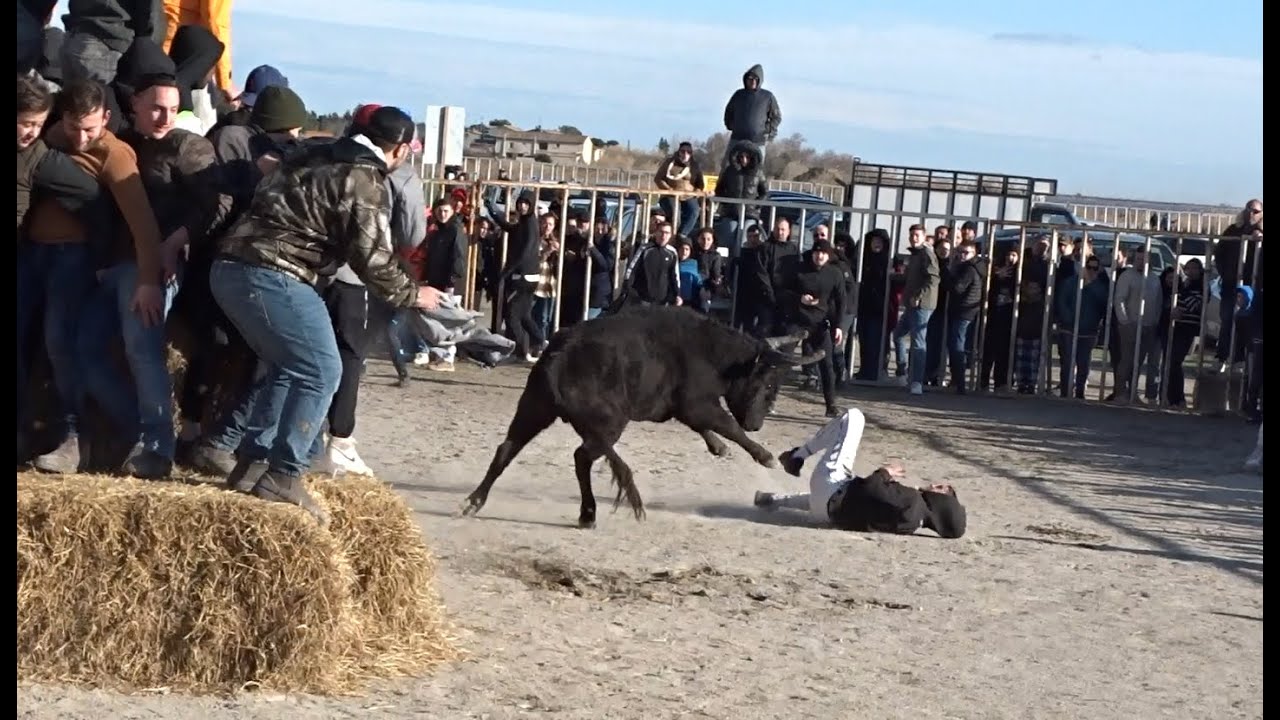 Course au plan Aigues Mortes Février 2023