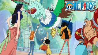 Straw Hats Reunite After 2 Years One Piece