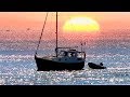 Yachts and boats sailing relaxing summer  southern england