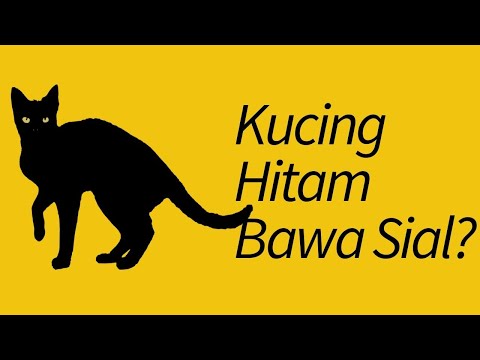 Video: Mengapa Kucing Hitam Dipercaya Membawa Sial