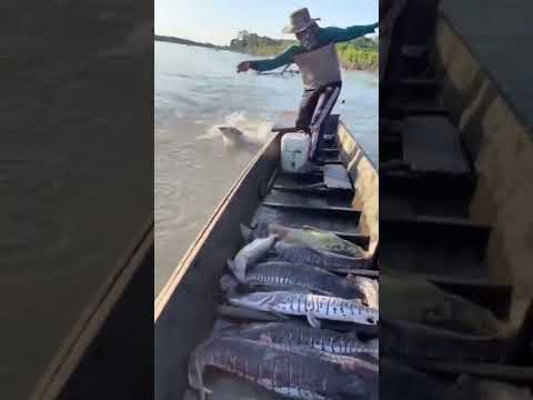 Denuncian pesca ilegal en el río Paraná y falta de controles: hablan de “saqueo”