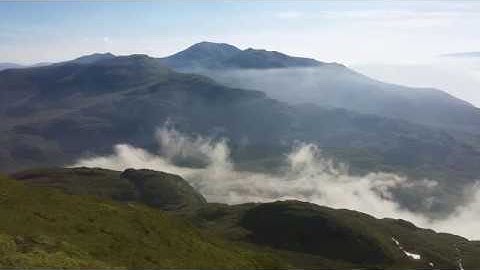 Strymon Big Sky and Moog Sub 37.