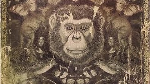 Remarkable Creatures (HSCT #66)