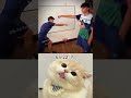 DAY-663 TECHNOLOGIAA 🐱 #technologia #cat