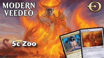 Zoo wins again! Can Mengu go 5-0 🏆? | Modern | MTGO