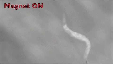 C. elegans nematode tricked into switching from swimming to crawling