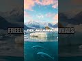Baffin Island: Nature's Hidden Treasure