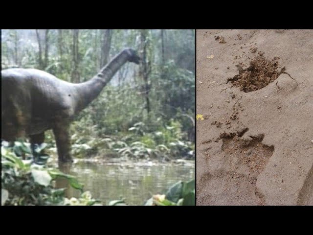 Dinossauro africano mais antigo é descoberto - Nerdizmo