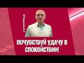 Почувствуй Удачу в Спокойствии! Торсунов лекции