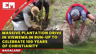 Nagaland: Viswema plants 7,000 trees in run up to 100 yrs of Christianity