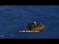 Why Osama bin Laden Hid in Pakistan Explained