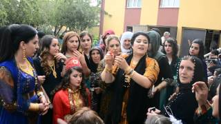 Özgür Köroğlu&Gülsima Kutlak Düğün Geline Takı Töreni Kız Tarafı