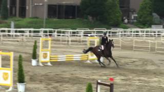 20110604(01)26 HY