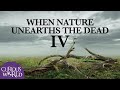 When Nature Unearths the Dead IV