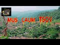 Mus Caum Tsov (Tiger Hunting Story)