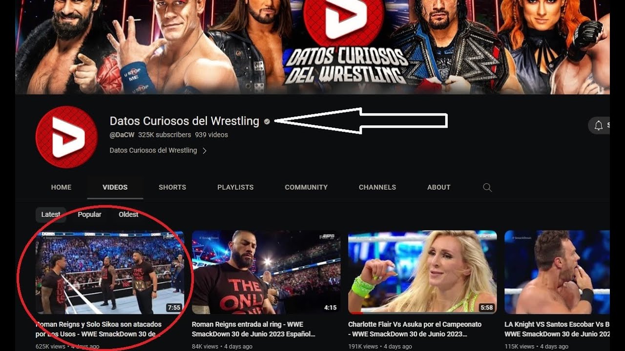 EL FINAL DEL CANAL DE DATOS CURIOSO DEL WRESTLING @DaCW - YouTube
