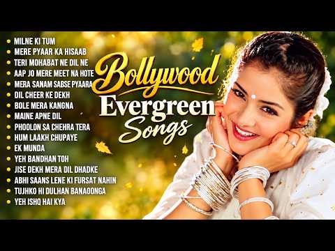 Bollywood Evergreen Songs | 90's Bollywood Movie Songs | 90's Evergreen Hindi Songs