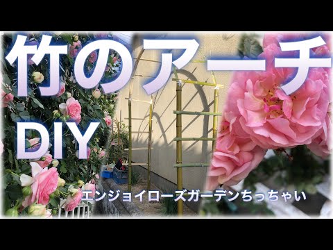 バラのアーチ！竹でDIY!  Bamboo obelisk