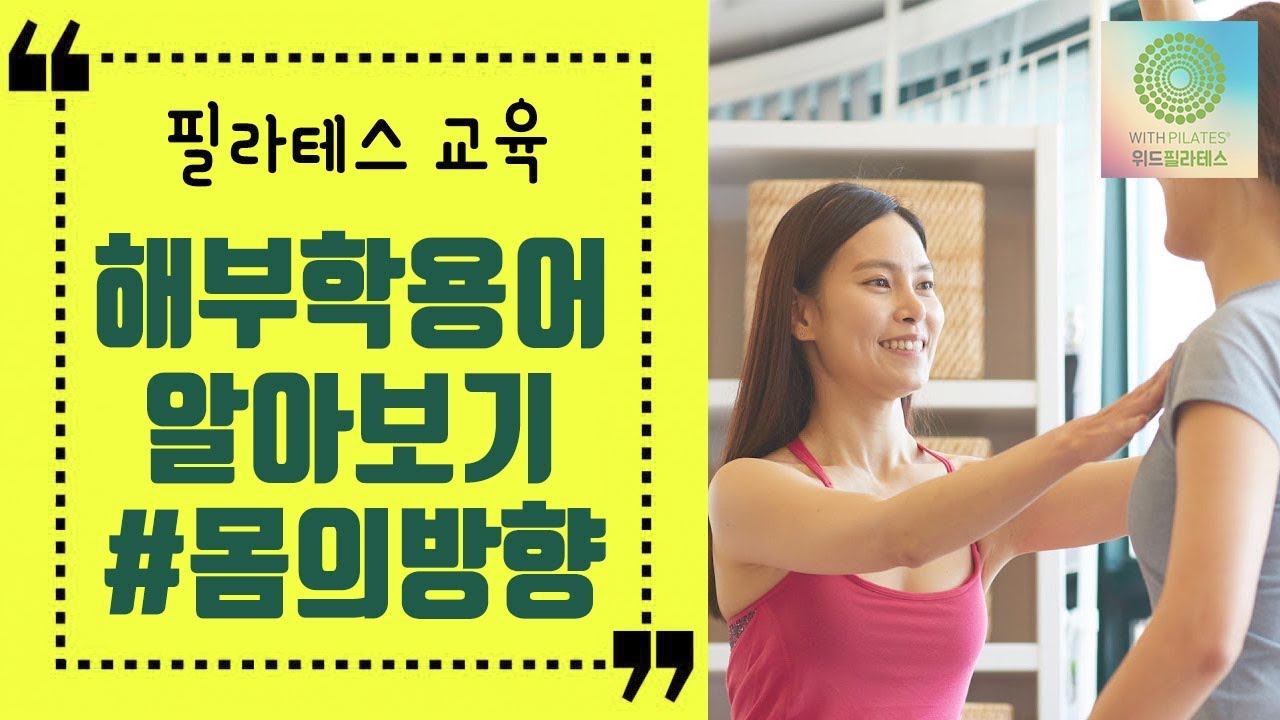 [필라테스 교육] 해부학 용어들을 배워봅시다 (Anatomical terminology) | 위드필라테스