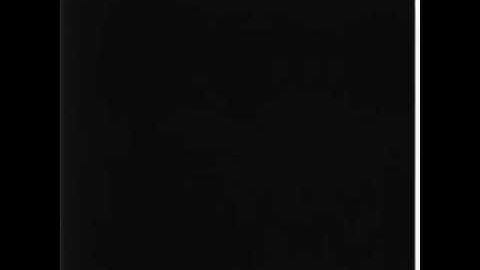 LG Logo 1995 in Black And White Invert Pitch +12 Reverse