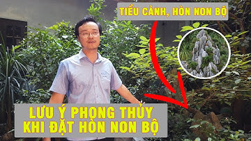Cách Bài Trí Hòn Non Bộ - Tiểu Cảnh Không Phạm Phong Thủy Nhà Ở | Thầy Tam Nguyên Lưu Ý Gia Chủ