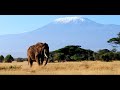 2019  Amboseli-Nationalpark