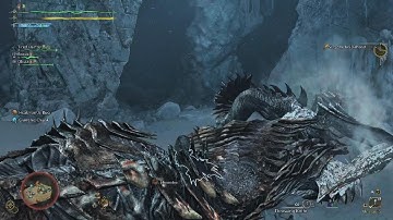 Monster Hunter Wilds these input delays