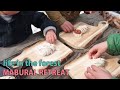 春の気配　とある一日　焚火料理　山暮らし 　田舎暮らし　forest life　selfsufficient lifestyle　homestead