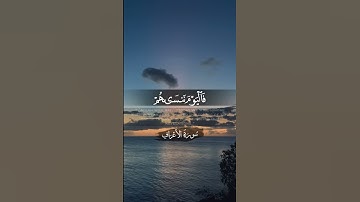 أكتب شيء تؤجر عليه.  ‏‎القارئ: بدر التركي.      ‏ ‎#قران #قران_كريم #قرآن_كريم #quran #islam #muslim