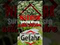 Wildwerk #wildgemüse #wildkräuter #garten #Anbau #selbstversorger #natur #wissen #survivalfood
