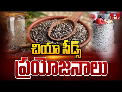 TO THE POINT : చియా సీడ్స్ ప్రయోజనాలు | Benefits Of Chia Seeds | hmtv