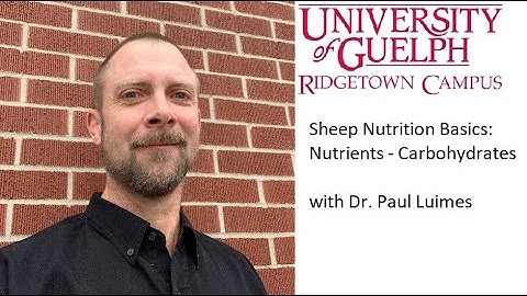 Sheep Nutrition Basics: Nutrients - Carbohydrates