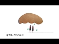 キトリ / 恋するあなたに 〜京都編〜