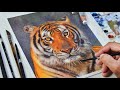 Painting a Tiger in Watercolor