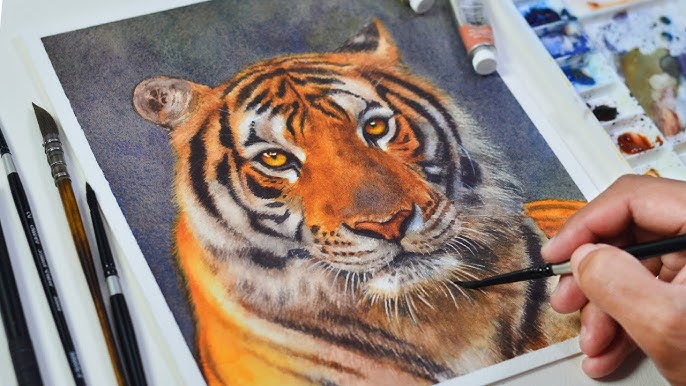 16+ Tiger Drawings Realistic