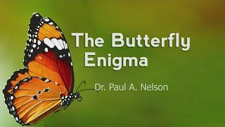 Origins: The Butterfly Enigma